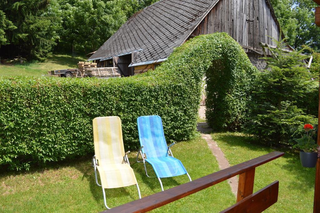 Apartmany Dana Horni Branna エクステリア 写真