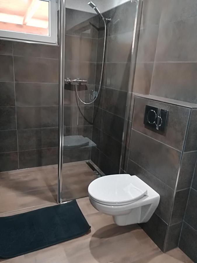 Apartmany Dana Horni Branna エクステリア 写真